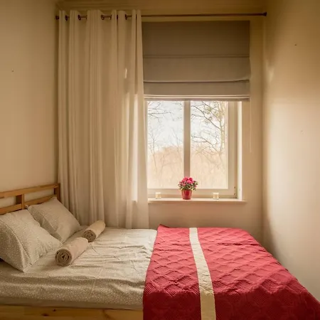 Willa Haffnera Apartament