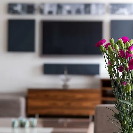 Apartament Willa Haffnera *